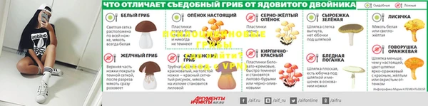 2c-b Пестово