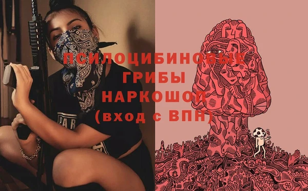 2c-b Пестово