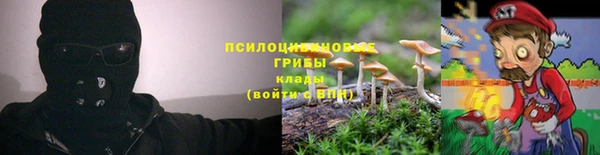 2c-b Пестово