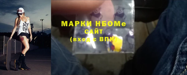 2c-b Пестово
