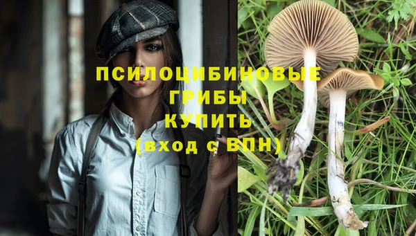 2c-b Пестово