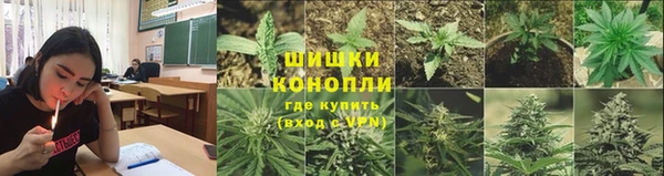 шишки Осташков