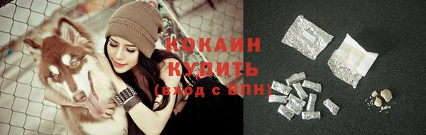 шишки Осташков